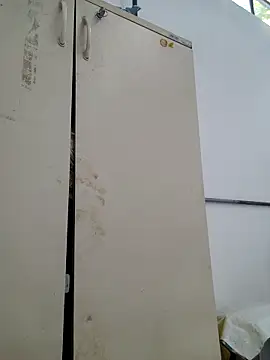 tesaodaweb online show from February 2026 10:16:01 AM