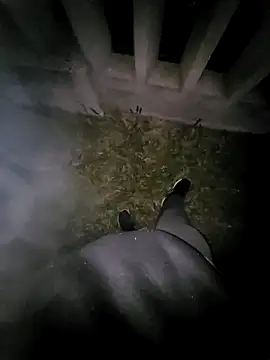 tesaodaweb online show from April 2026 09:23:01 AM