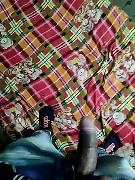 Kingxey online show from December 2024 11:09:02 AM