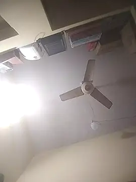 Remo0 online show from February 2026 11:35:02 AM