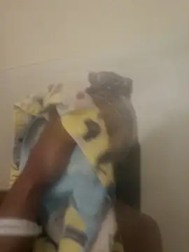 Looking4Jerries online show from December 2024 06:48:01 AM