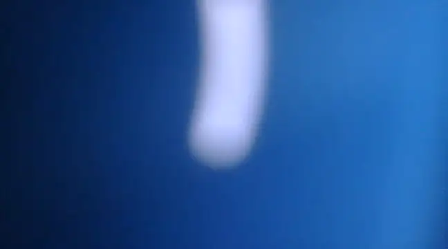 yourguyjack online show from March 2025 06:47:01 AM