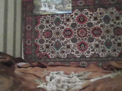 AlferezzSolvajo online show from October 2025 02:07:02 PM