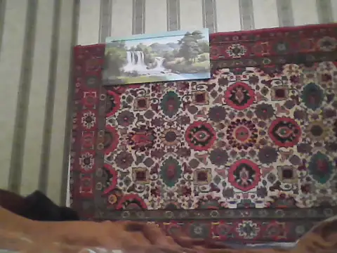 AlferezzSolvajo online show from November 2025 12:15:02 PM