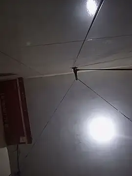 acuarela online show from January 2025 09:04:02 PM