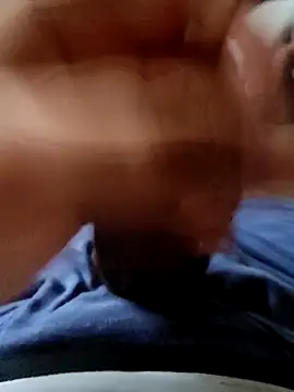 pitorico bb online show from September 2025 12:29:01 PM