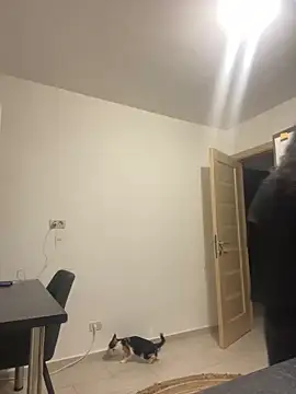 NNNoire online show from September 2025 10:41:01 AM