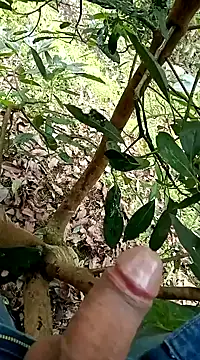 mmarvis za78 93 21cm online show from February 2025 08:14:02 PM