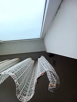 Lauren Amabel online show from January 2026 08:17:01 AM