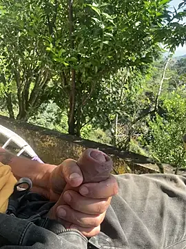 pegaso888888 online show from March 2026 01:37:02 PM