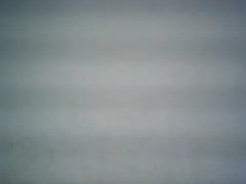 Snapshot of michel1520 chatting on June 2026 05:48:02 PM michel1520 online show from June 2026 05:48:02 PM