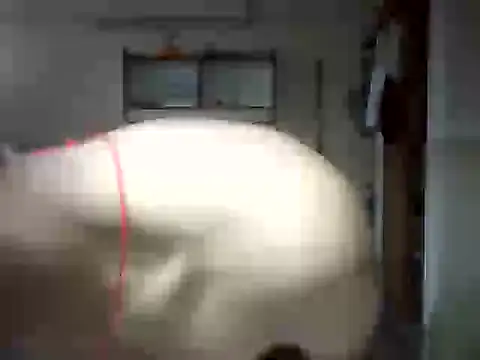 venom26 online show from September 2025 09:52:01 AM