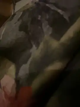 Snapshot of QTeepye chatting on February 2026 04:41:02 AM QTeepye online show from February 2026 04:41:02 AM