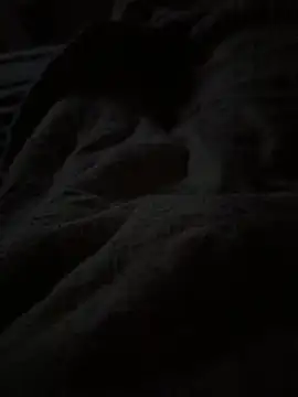 Lilymoonshow online show from April 2026 03:29:01 AM