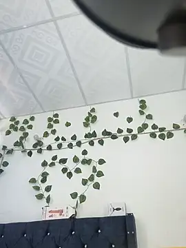 Snapshot of miaa--pervert chatting on January 2025 01:20:01 PM miaa--pervert online show from January 2025 01:20:01 PM