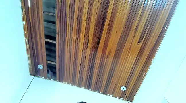 JackeOwens online show from March 2025 07:02:02 PM