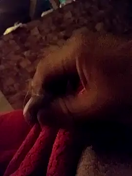 srecet online show from February 2025 09:43:01 AM