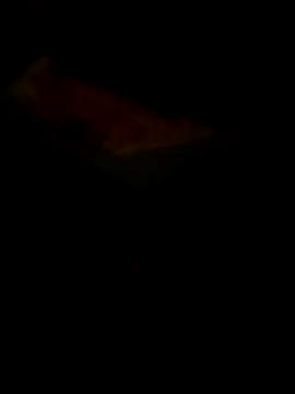 Raj41 online show from March 2026 05:36:01 PM