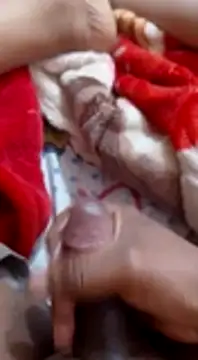 mhmia online show from February 2025 07:04:01 PM