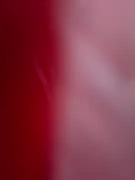 ALEXANDRA95 online show from February 2025 04:44:02 AM