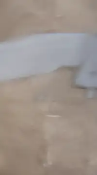 Snapshot of laxmitelugu78 chatting on February 2025 07:25:01 PM laxmitelugu78 online show from February 2025 07:25:01 PM