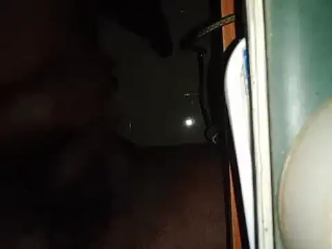 world bigdick1 online show from February 2025 05:14:01 PM