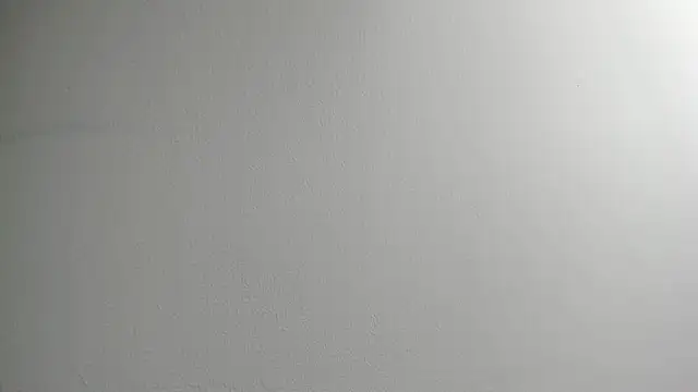 Tombarden online show from February 2025 03:51:02 PM