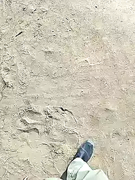 xmanrawan2 online show from February 2025 06:37:01 AM