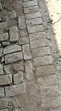 xmanrawan2 online show from February 2025 07:18:02 AM