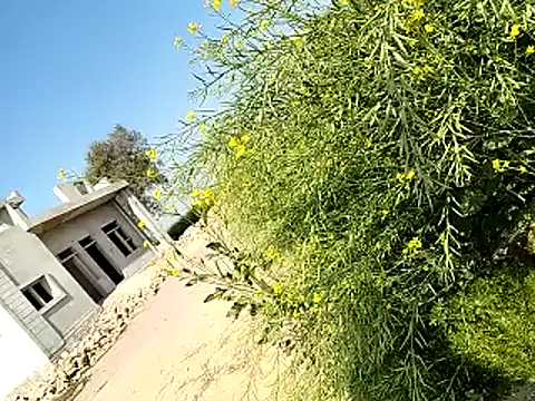 xmanrawan2 online show from February 2025 06:29:01 AM