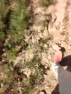 xmanrawan2 online show from February 2025 08:40:02 AM