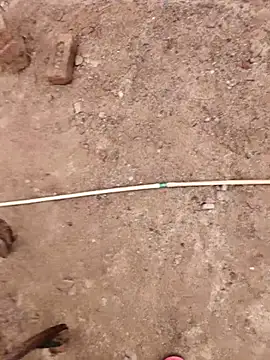 xmanrawan2 online show from October 2025 07:50:02 AM