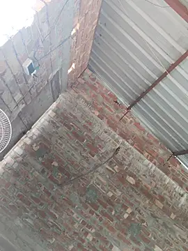 Snapshot of birds0641 chatting on October 2025 07:49:02 AM birds0641 online show from October 2025 07:49:02 AM