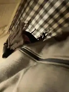 B3-Dindles online show from March 2025 12:17:01 PM