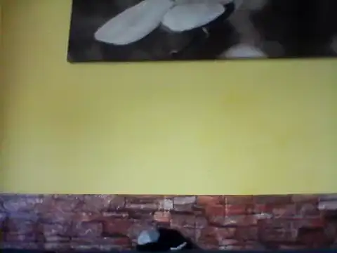 Snapshot of sexy_lady2 chatting on February 2025 10:07:01 AM sexy lady2 online show from February 2025 10:07:01 AM