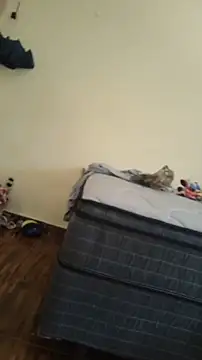 Snapshot of JapeDoBryan chatting on May 2026 06:28:02 PM JapeDoBryan online show from May 2026 06:28:02 PM
