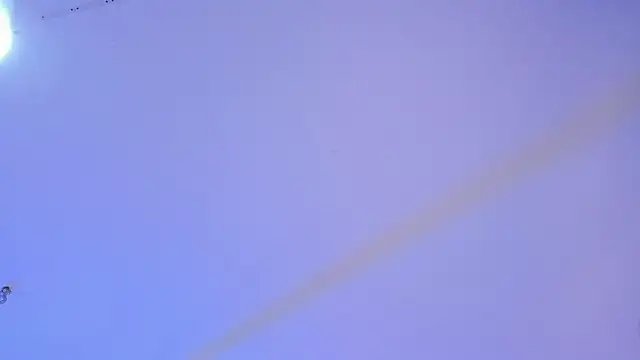 allicemackenzie online show from February 2025 07:55:02 AM