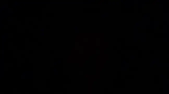 dontfaceman online show from January 2025 05:41:02 AM