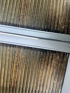 Nikki vega online show from January 2026 08:21:01 PM