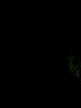 hintly online show from October 2025 11:12:02 AM