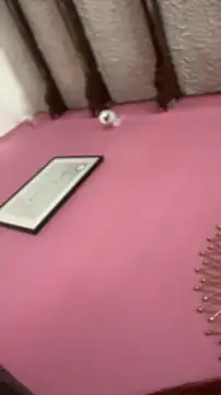 Valu euphoria online show from November 2025 08:22:02 PM