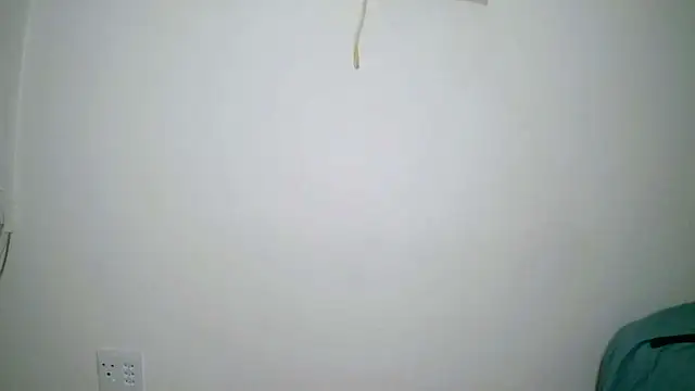 Cuddle Bear online show from February 2025 11:12:01 PM