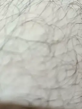 Arabian online show from November 2025 03:01:01 PM