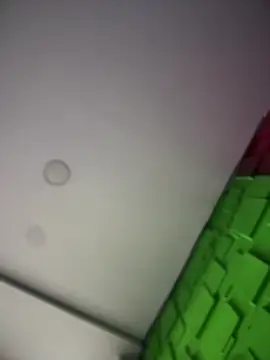 Dulce  Boyd online show from January 2026 01:59:02 PM