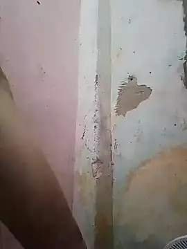 shuelldin online show from February 2025 11:50:01 AM