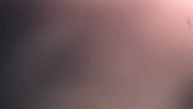 Dhalila  online show from December 2025 01:17:01 PM