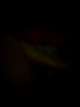 Snapshot of jonzzvergs chatting on February 2025 12:30:02 PM jonzzvergs online show from February 2025 12:30:02 PM