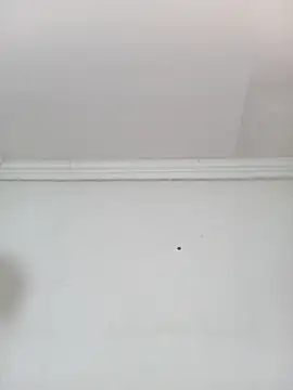 Snapshot of Kylie6lack chatting on October 2025 08:15:01 PM Kylie6lack online show from October 2025 08:15:01 PM