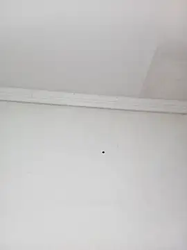 Snapshot of Kylie6lack chatting on October 2025 08:18:02 PM Kylie6lack online show from October 2025 08:18:02 PM