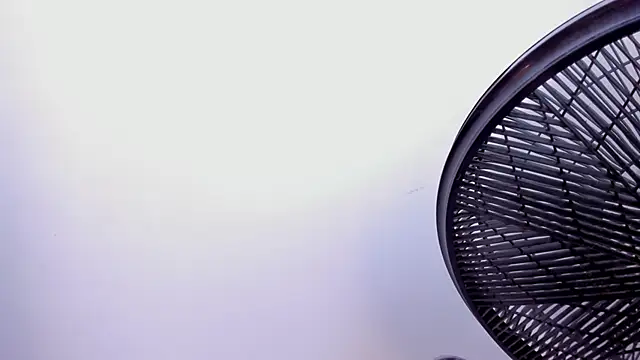 Naomii Viper online show from February 2026 05:22:02 AM